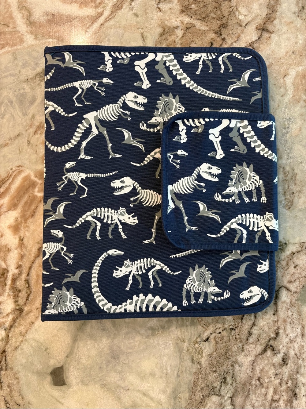 Pottery Barn Kids Mackenzie Navy Glow in Dark Dinosaur 3 Ring Binder Pencil Case